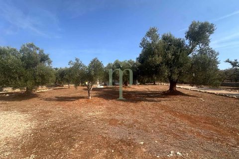 Villa i Carovigno, Brindisi, Carovigno - € 340.000 | Ref: Villa Casellini - foto 15